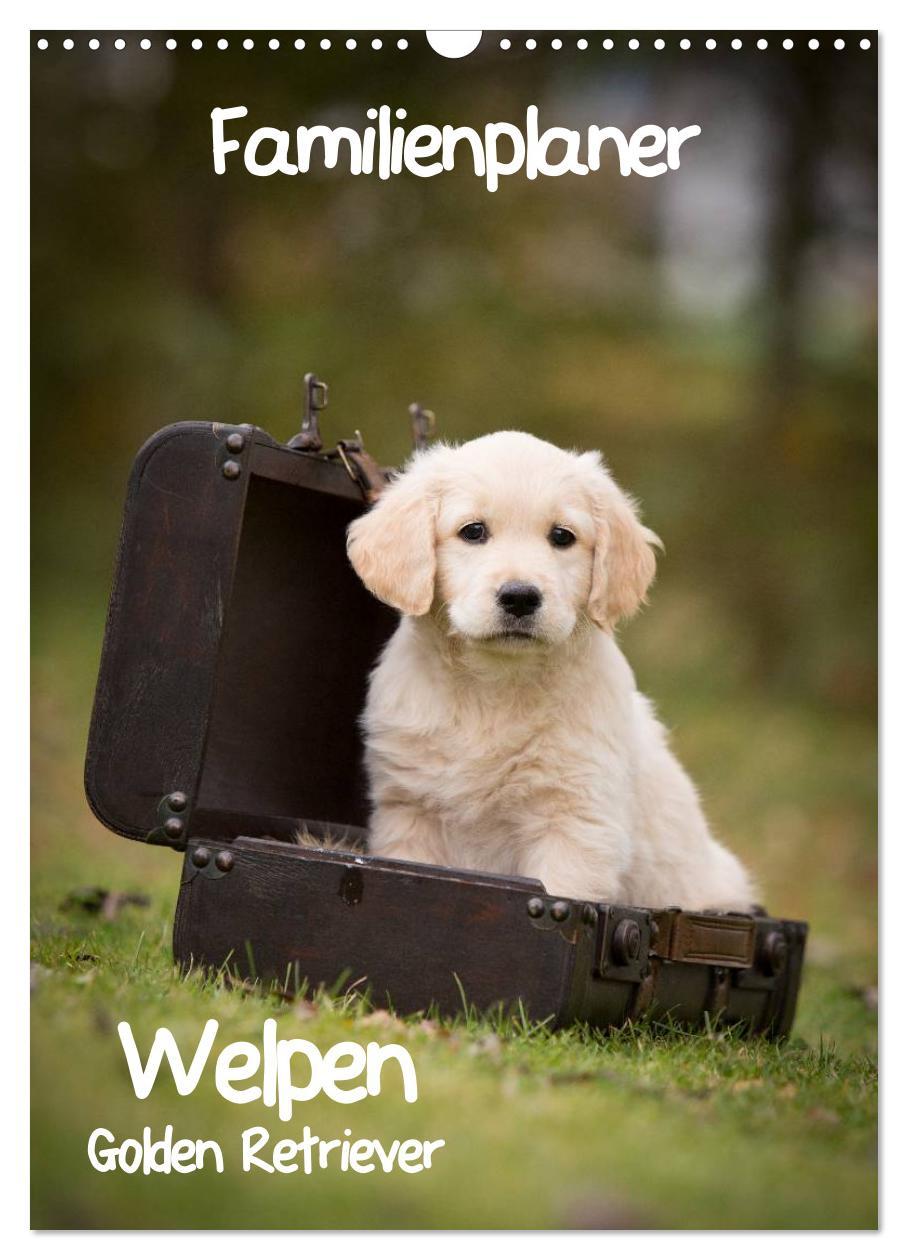 Vorderes Coverbild Familienplaner: Golden Retriever Welpen (Wandkalender 2026 DIN A3 hoch), CALVENDO Monatskalender