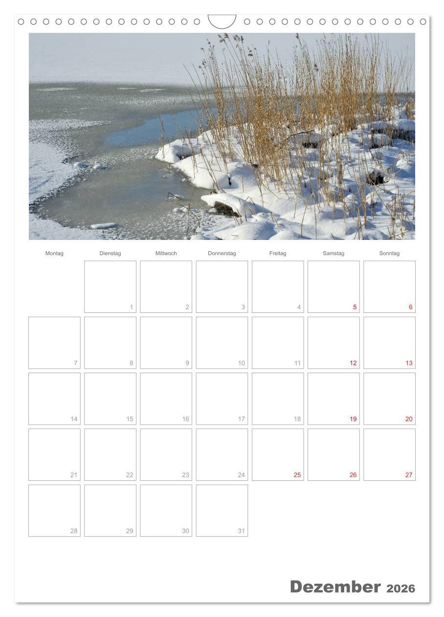 Beispielinhalt (Bild) Insel Rügen / Planer (Wandkalender 2026 DIN A3 hoch), CALVENDO Monatskalender