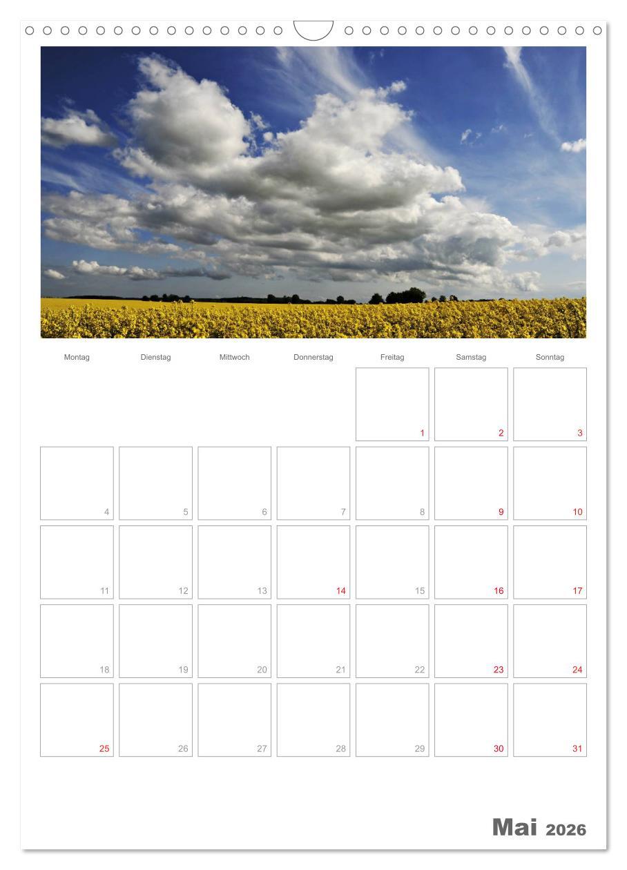 Beispielinhalt (Bild) Insel Rügen / Planer (Wandkalender 2026 DIN A3 hoch), CALVENDO Monatskalender