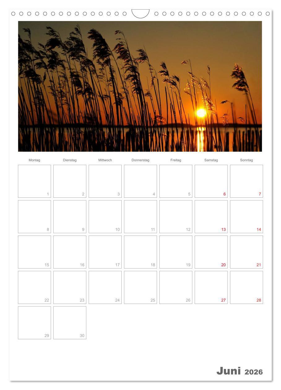 Beispielinhalt (Bild) Insel Rügen / Planer (Wandkalender 2026 DIN A3 hoch), CALVENDO Monatskalender