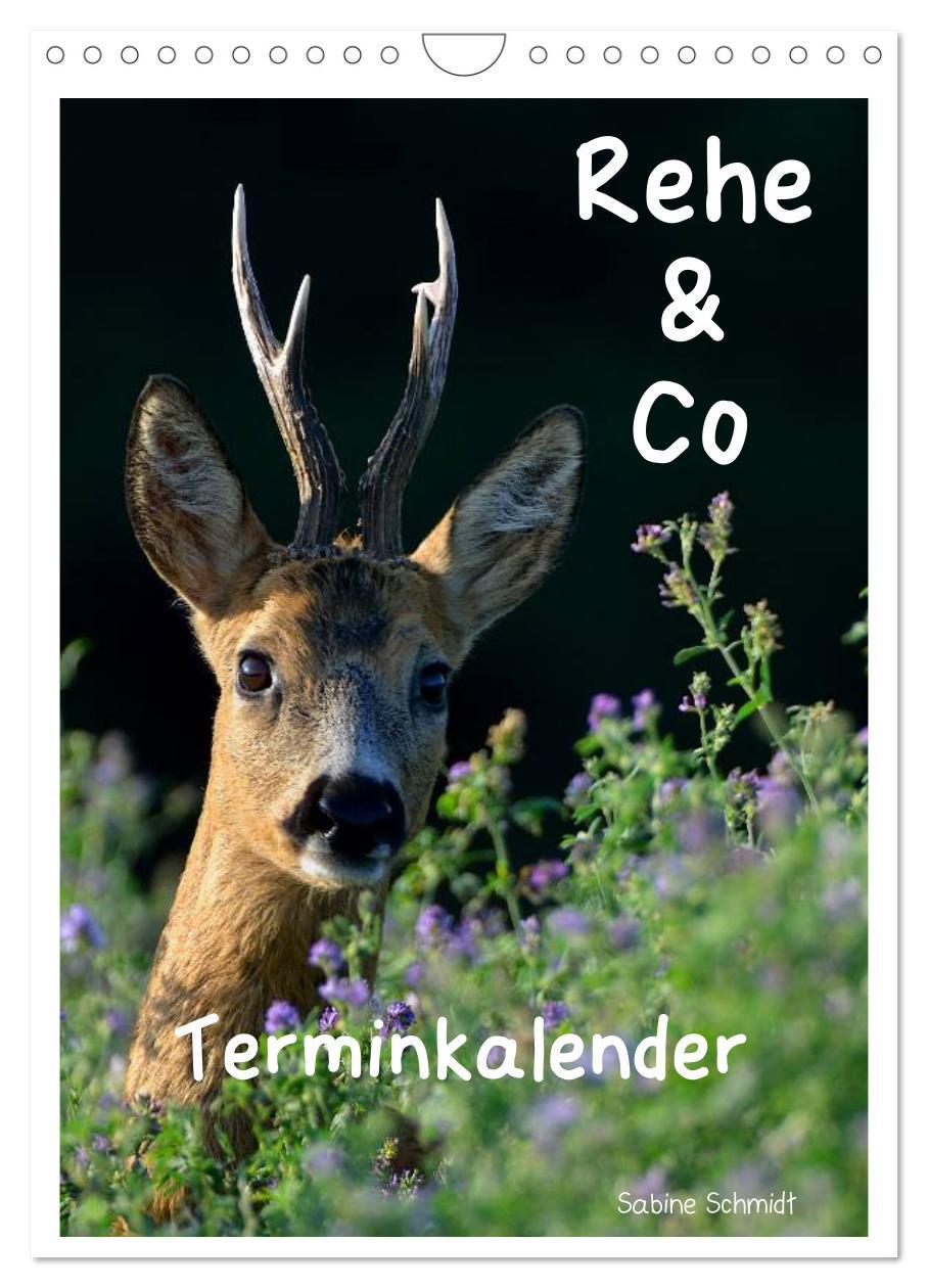 Vorderes Coverbild Rehe & Co / Planer (Wandkalender 2026 DIN A4 hoch), CALVENDO Monatskalender