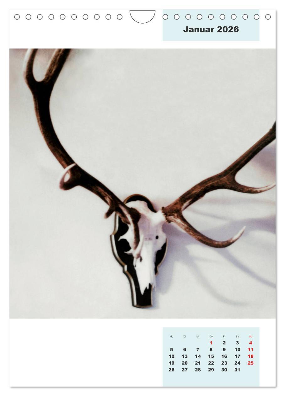 Beispielinhalt (Bild) Blaues Land (Wandkalender 2026 DIN A4 hoch), CALVENDO Monatskalender