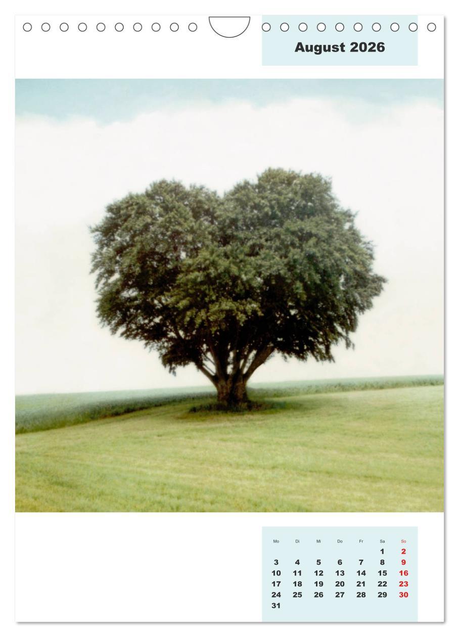 Beispielinhalt (Bild) Blaues Land (Wandkalender 2026 DIN A4 hoch), CALVENDO Monatskalender