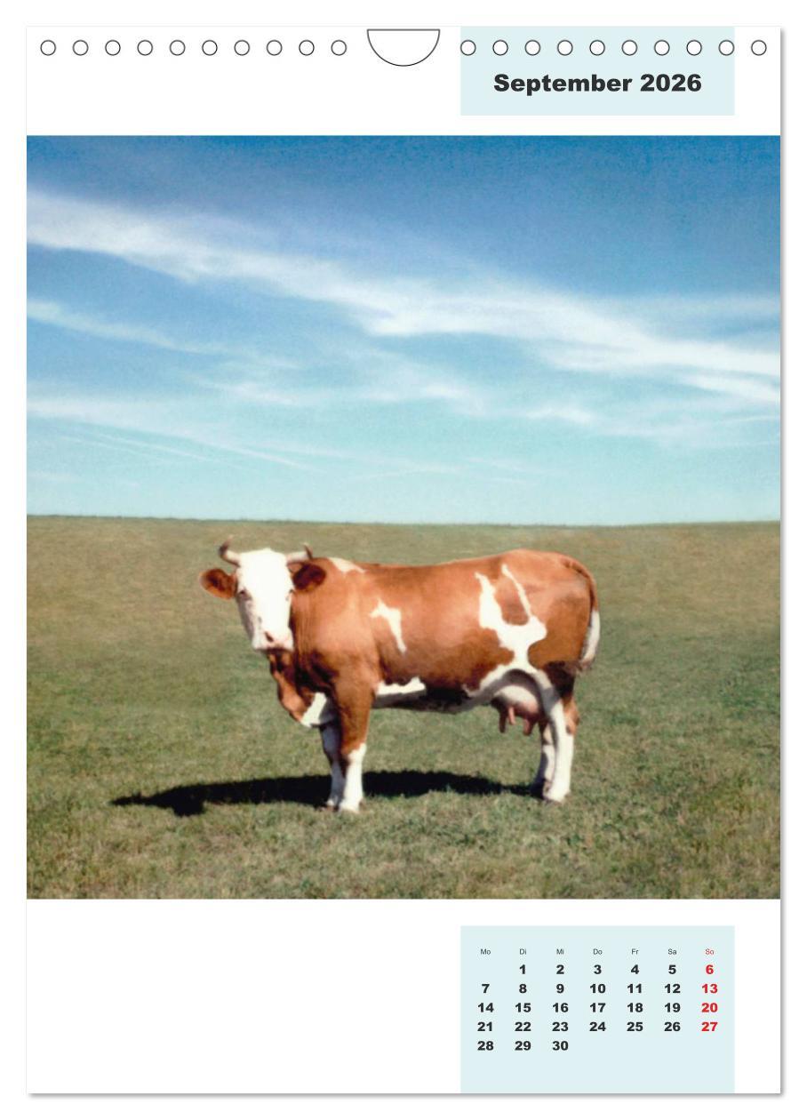 Beispielinhalt (Bild) Blaues Land (Wandkalender 2026 DIN A4 hoch), CALVENDO Monatskalender