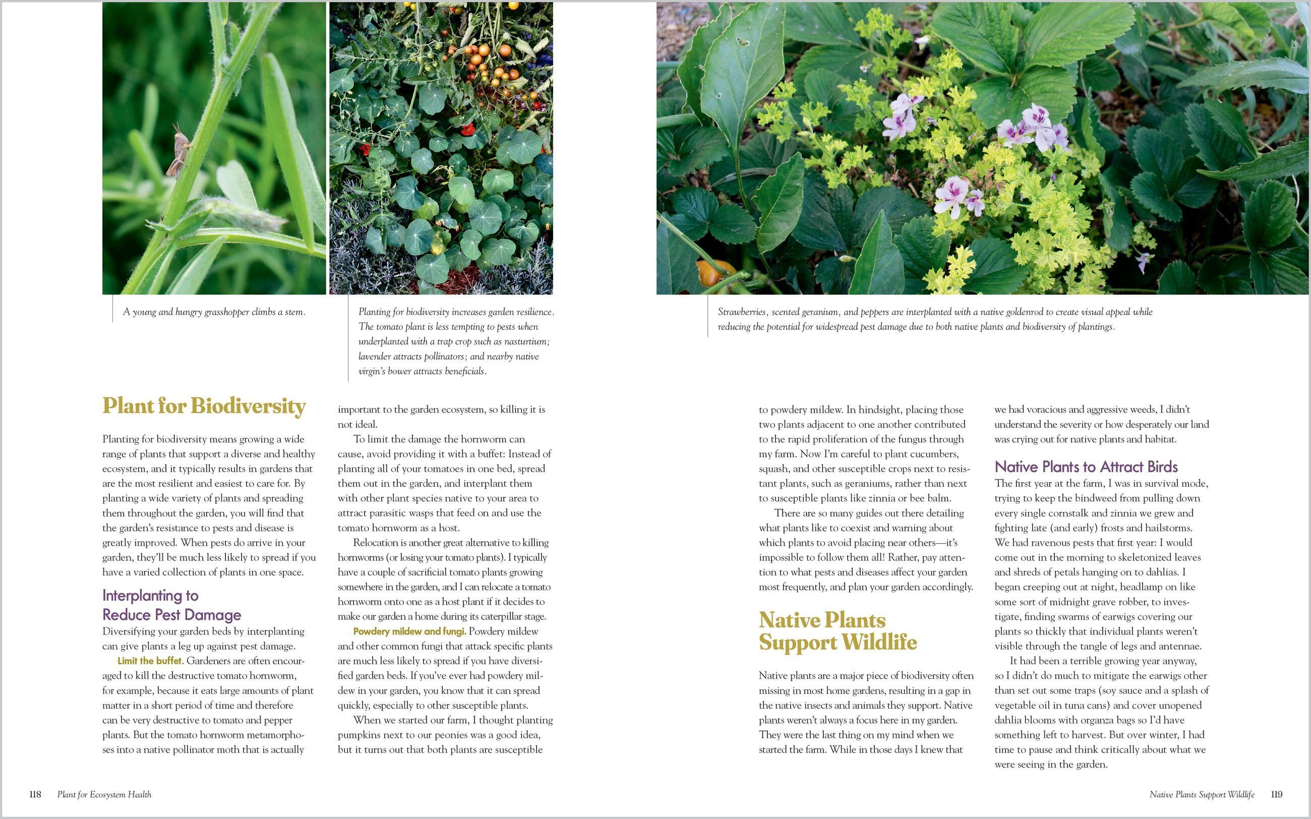 Beispielinhalt (Bild) The Regenerative Gardener's Handbook