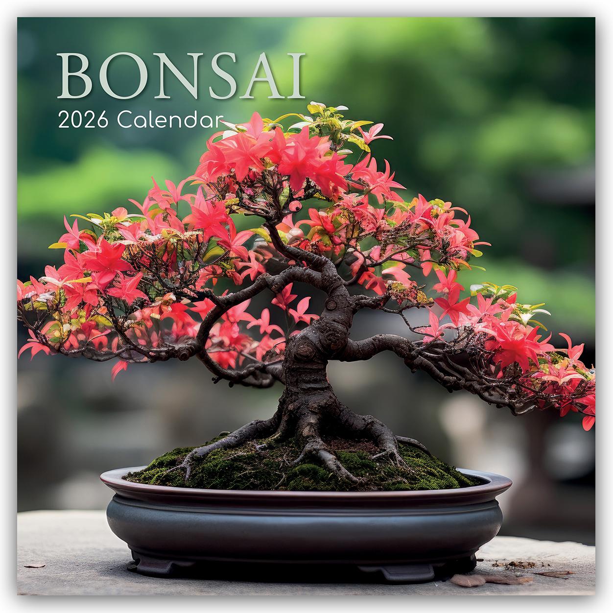 Vorderes Coverbild Bonsai - Bonsaibäume 2026 - 16-Monatskalender