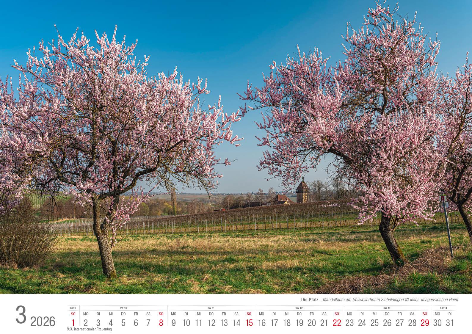 Beispielinhalt (Bild) Die Pfalz 2026 Bildkalender A3 Spiralbindung