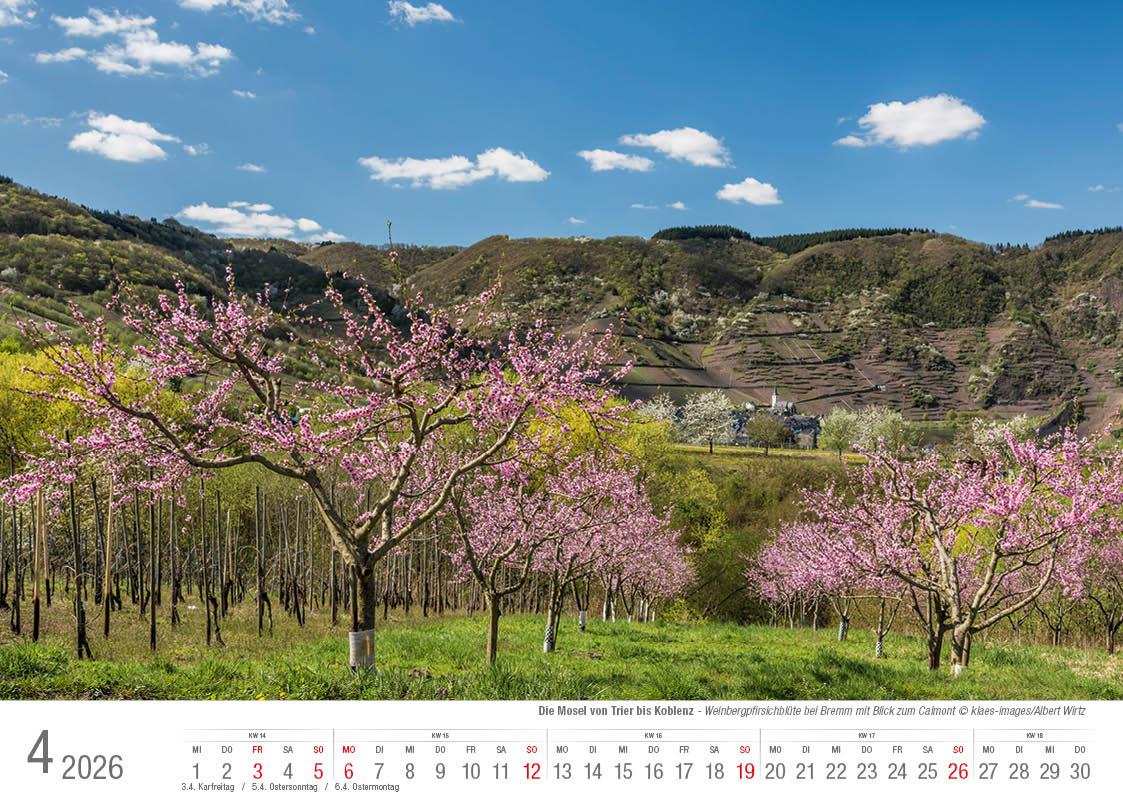 Beispielinhalt (Bild) Mosel von Trier bis Koblenz 2026 Bildkalender A4 quer, spiralgebunden
