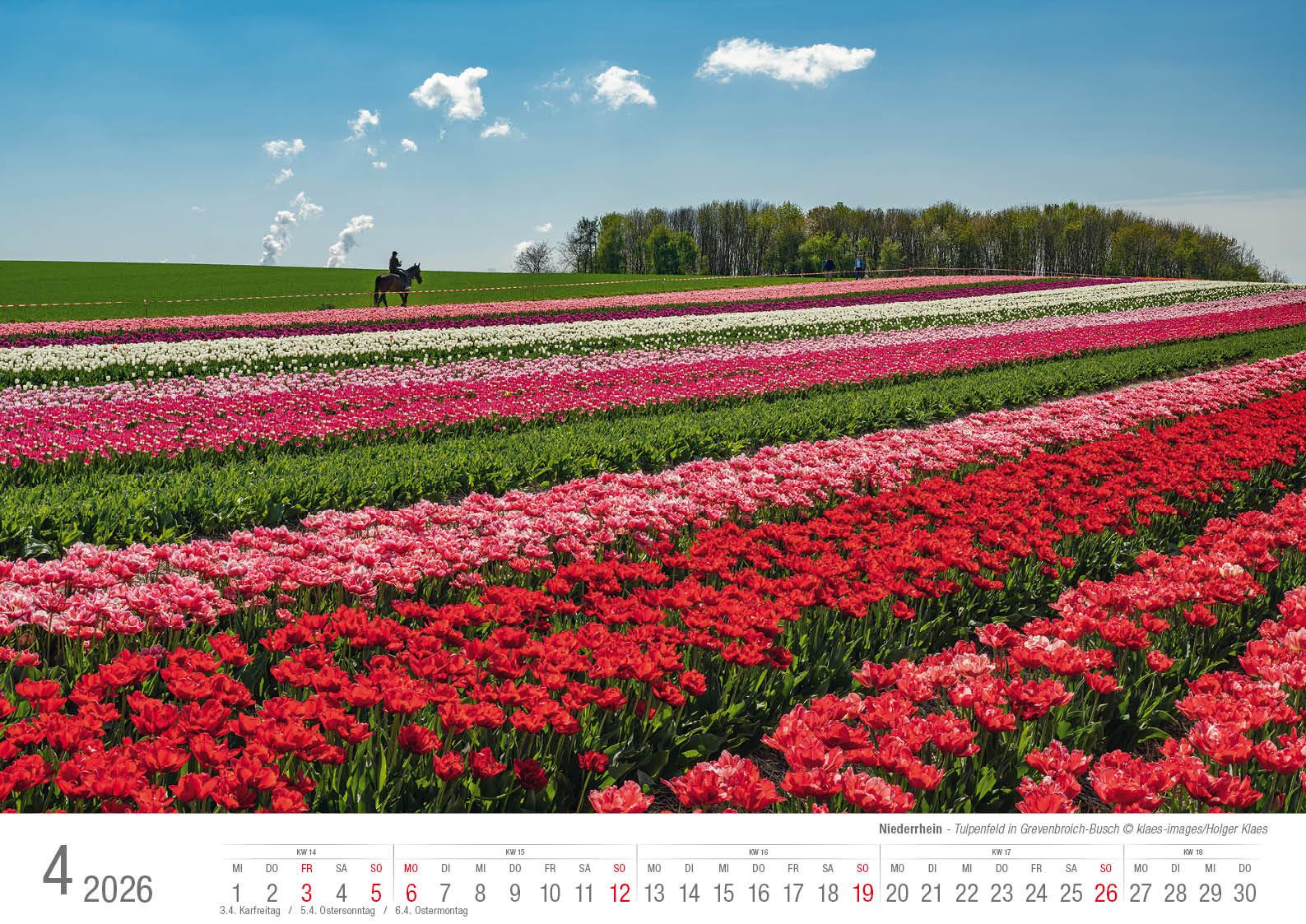 Beispielinhalt (Bild) Niederrhein 2026 Bildkalender A3 Spiralbindung