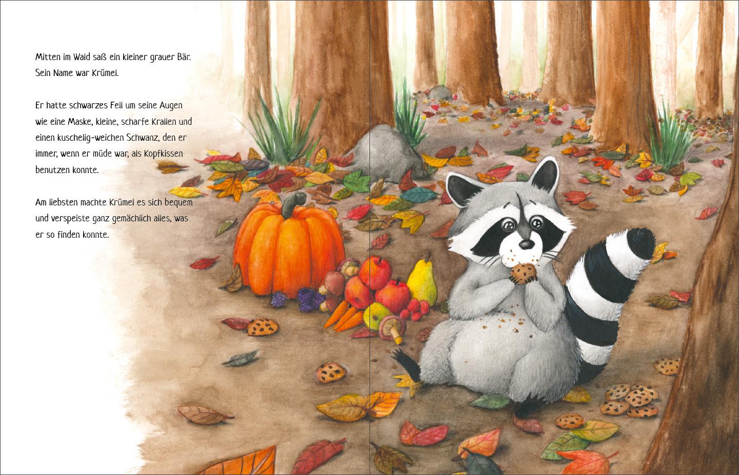 Beispielinhalt (Bild) Krümel Waschbär