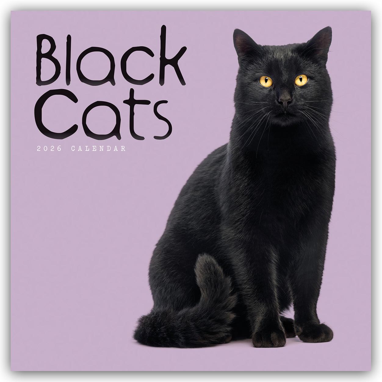 Vorderes Coverbild Black Cats - Schwarze Katzen 2026 - Wand-Kalender