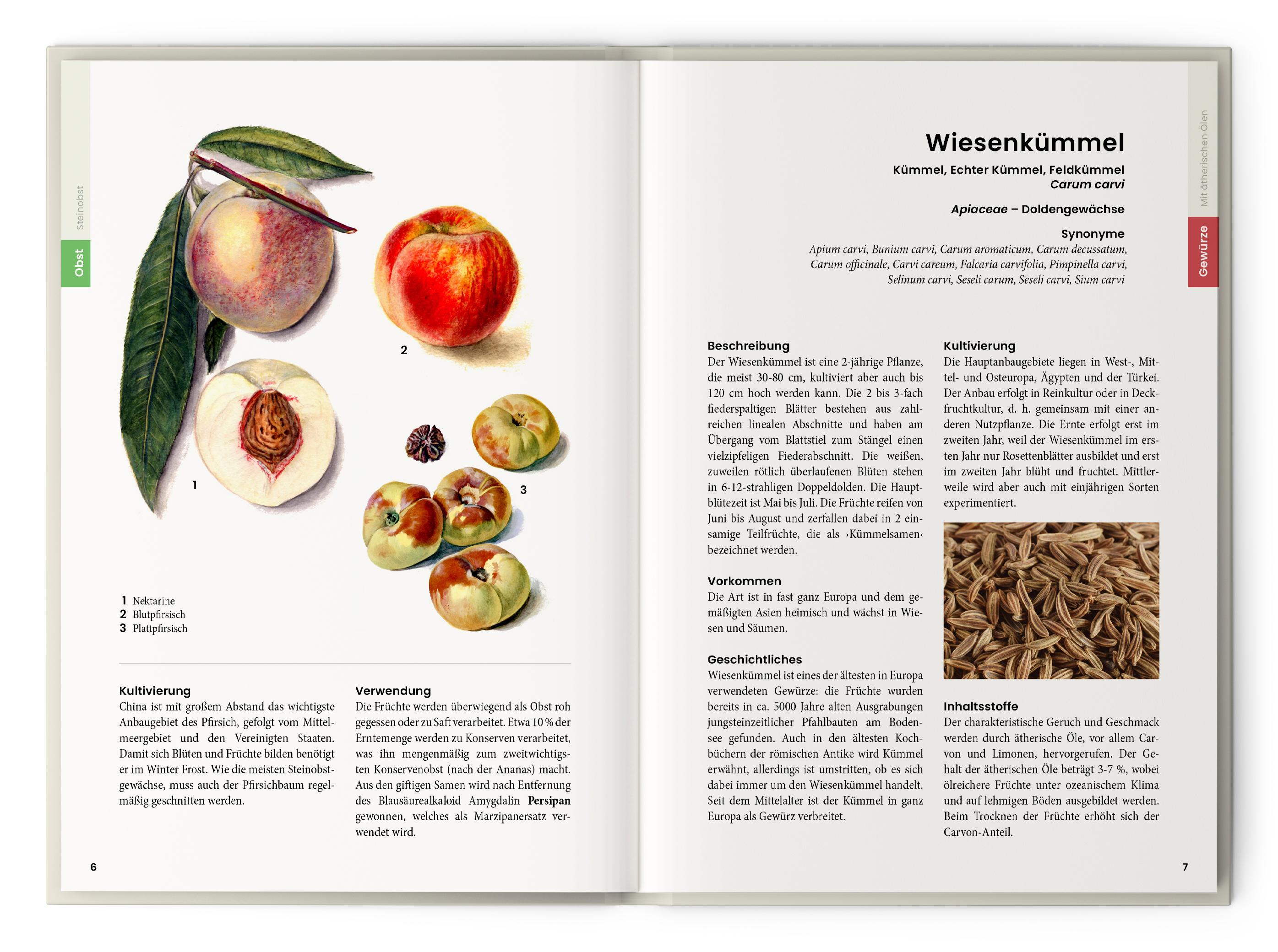 Beispielinhalt (Bild) Was wir essen