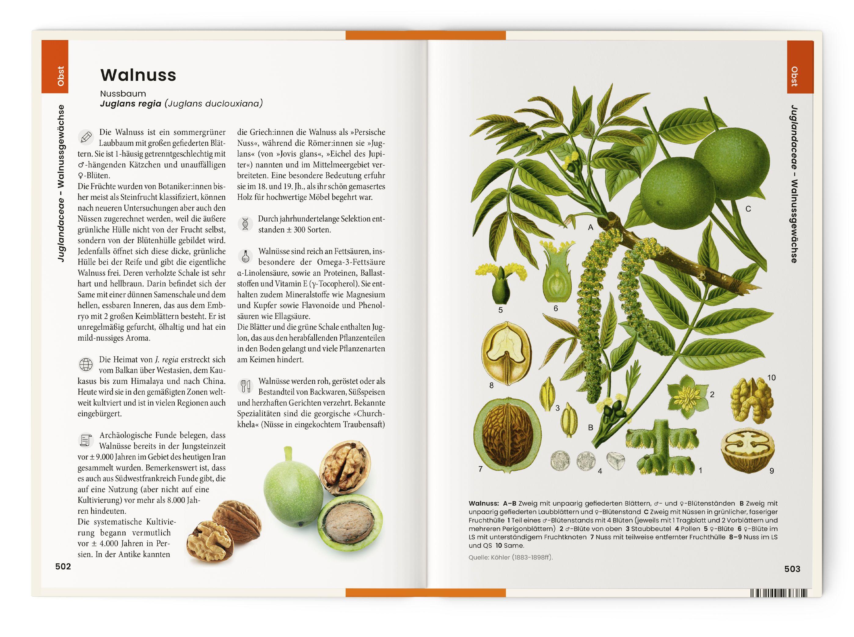 Beispielinhalt (Bild) Was wir essen