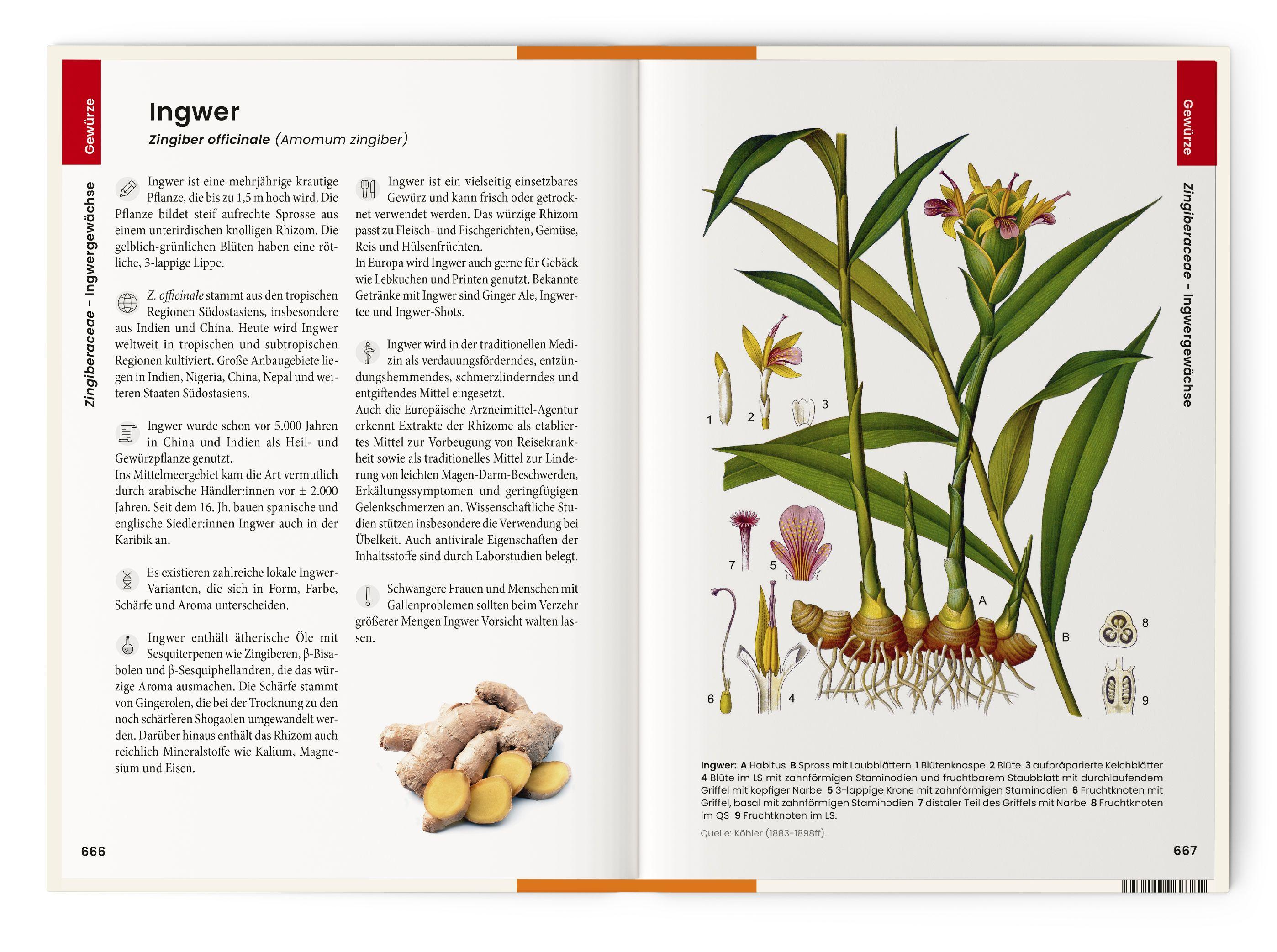 Beispielinhalt (Bild) Was wir essen