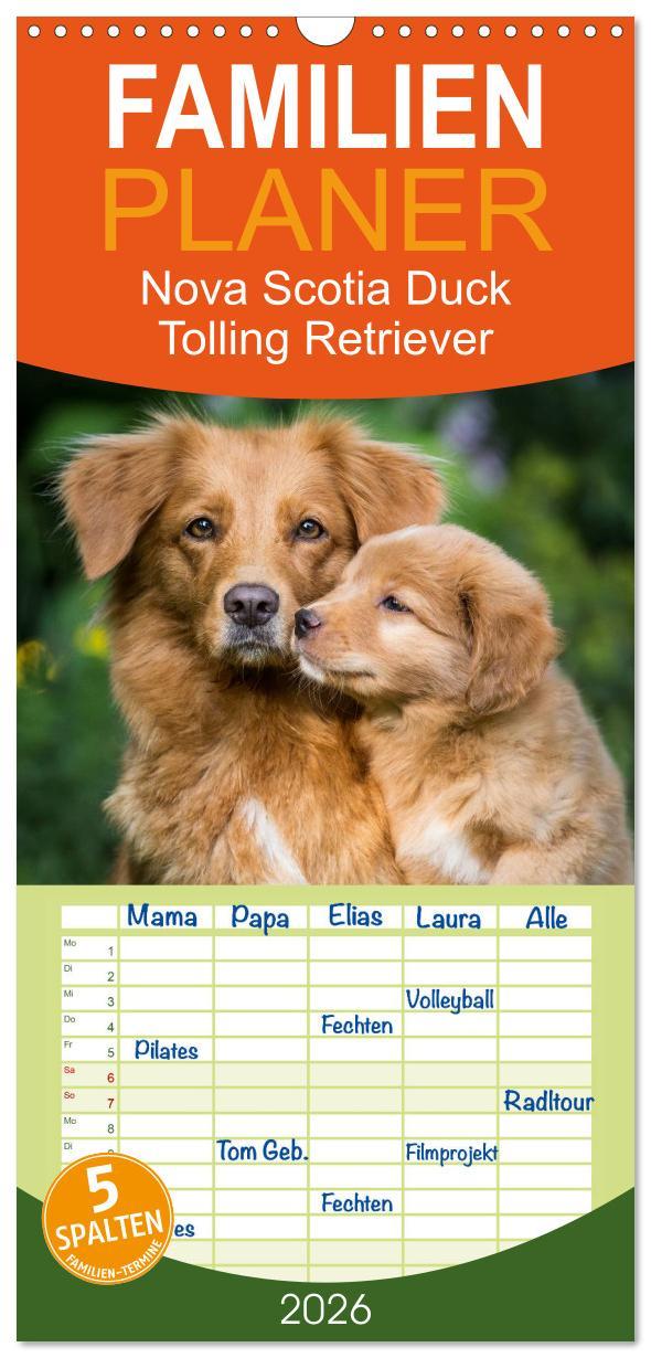 Vorderes Coverbild Familienplaner 2026 - Toller - Nova Scotia Duck Tolling Retriever mit 5 Spalten (Wandkalender, 21 x 45 cm) CALVENDO