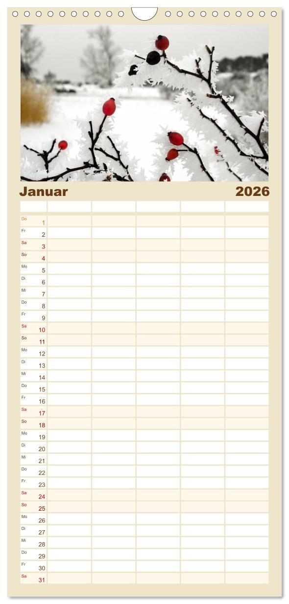 Beispielinhalt (Bild) Familienplaner 2026 - Usedomfotos mit 5 Spalten (Wandkalender, 21 x 45 cm) CALVENDO