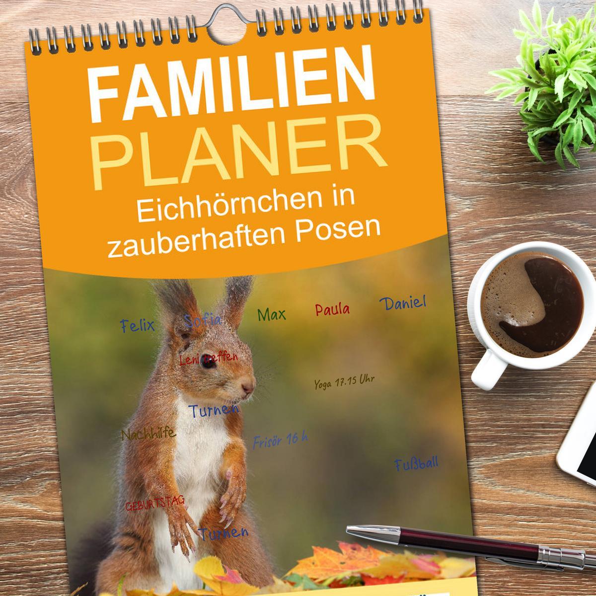 Beispielinhalt (Bild) Familienplaner 2026 - Eichhörnchen in zauberhaften Posen mit 5 Spalten (Wandkalender, 21 x 45 cm) CALVENDO