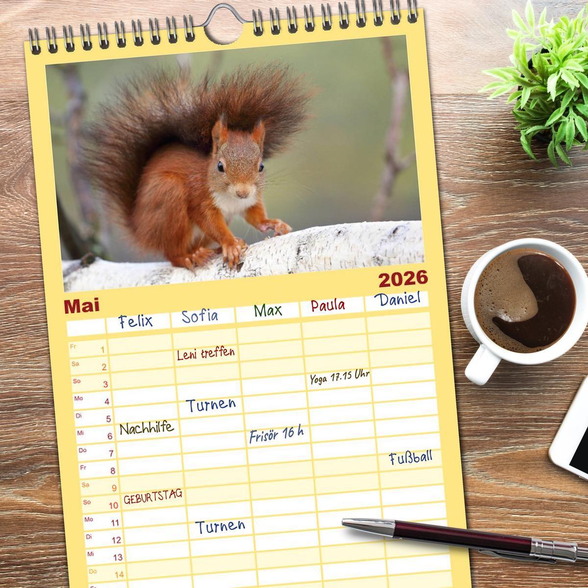 Beispielinhalt (Bild) Familienplaner 2026 - Eichhörnchen in zauberhaften Posen mit 5 Spalten (Wandkalender, 21 x 45 cm) CALVENDO