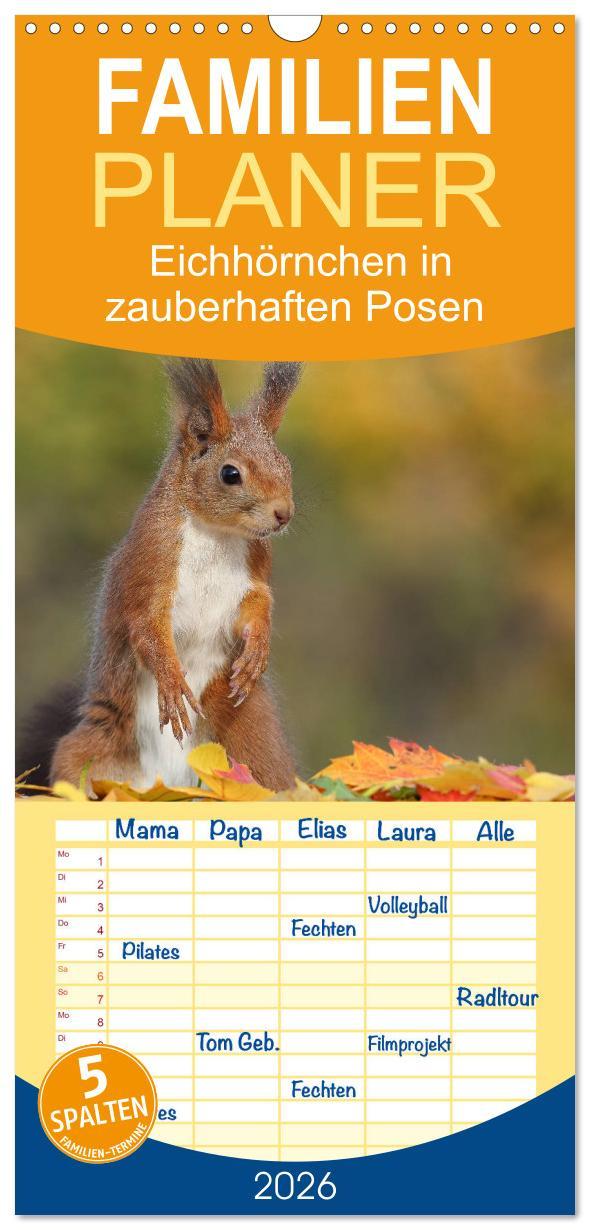 Vorderes Coverbild Familienplaner 2026 - Eichhörnchen in zauberhaften Posen mit 5 Spalten (Wandkalender, 21 x 45 cm) CALVENDO