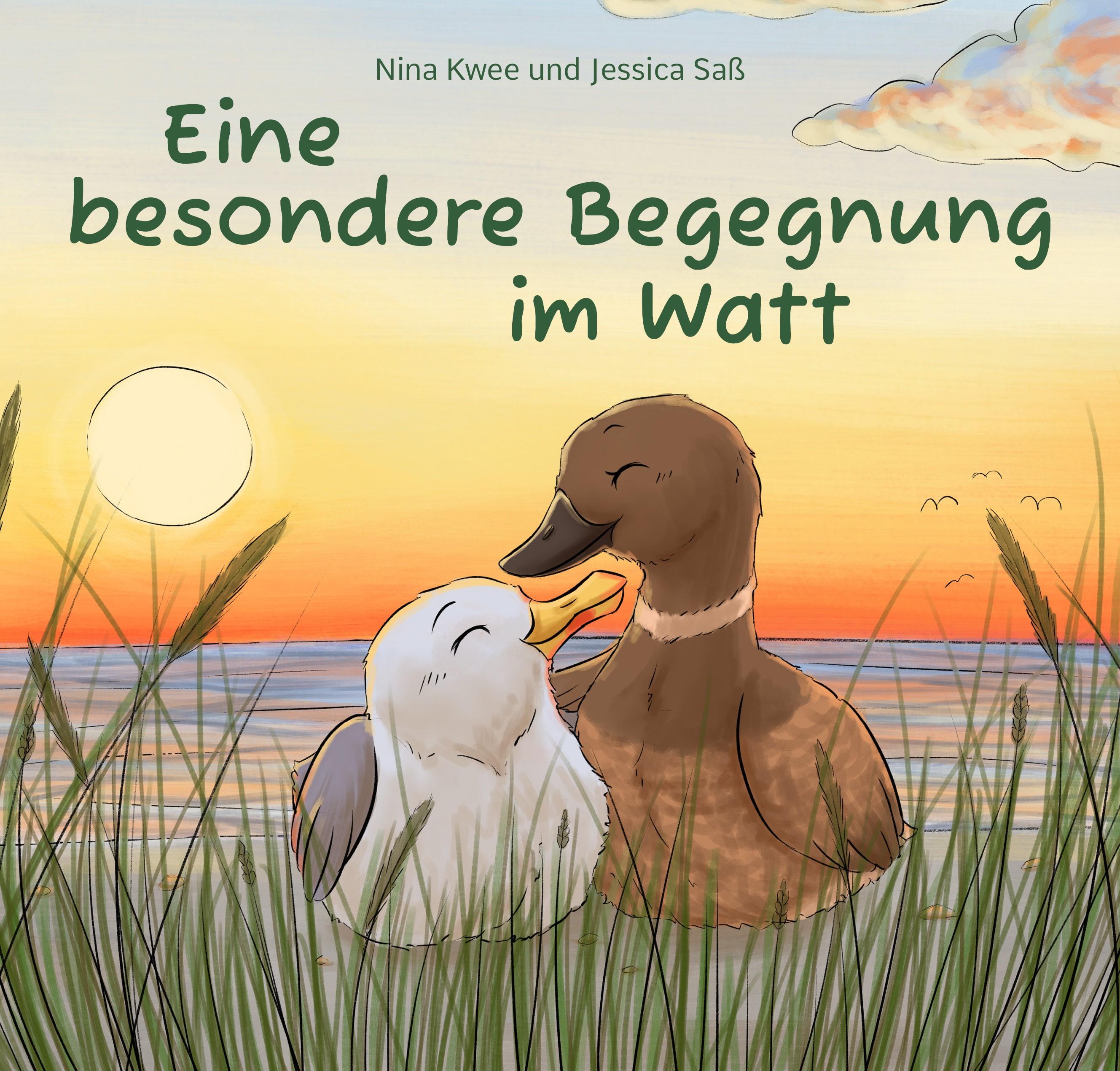 Vorderes Coverbild Eine besondere Begegnung im Watt