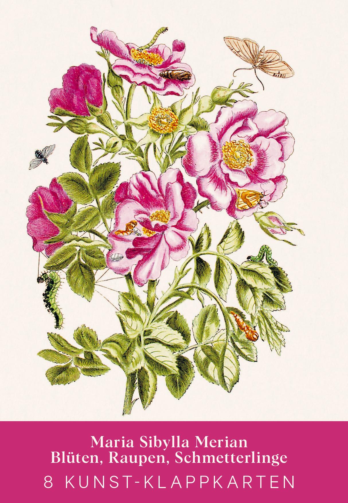 Vorderes Coverbild Maria Sibylla Merian - Acht Kunst-Klappkarten