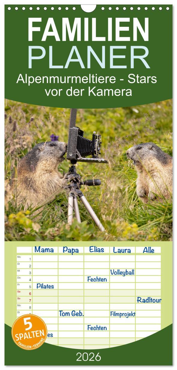 Vorderes Coverbild Familienplaner 2026 - Alpenmurmeltiere - Stars vor der Kamera mit 5 Spalten (Wandkalender, 21 x 45 cm) CALVENDO