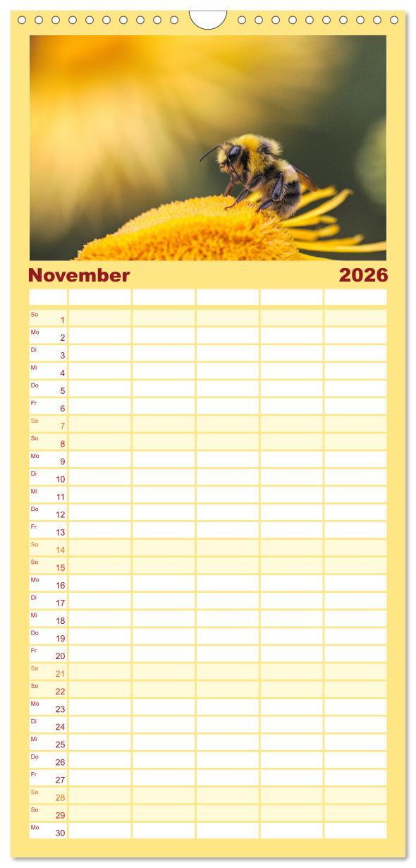 Beispielinhalt (Bild) Familienplaner 2026 - Bienen - Die fleißigen Tierchen die den Honig herstellen. mit 5 Spalten (Wandkalender, 21 x 45 cm) CALVENDO