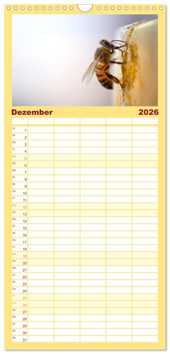 Beispielinhalt (Bild) Familienplaner 2026 - Bienen - Die fleißigen Tierchen die den Honig herstellen. mit 5 Spalten (Wandkalender, 21 x 45 cm) CALVENDO