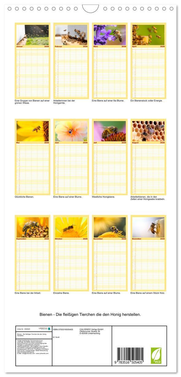 Beispielinhalt (Bild) Familienplaner 2026 - Bienen - Die fleißigen Tierchen die den Honig herstellen. mit 5 Spalten (Wandkalender, 21 x 45 cm) CALVENDO