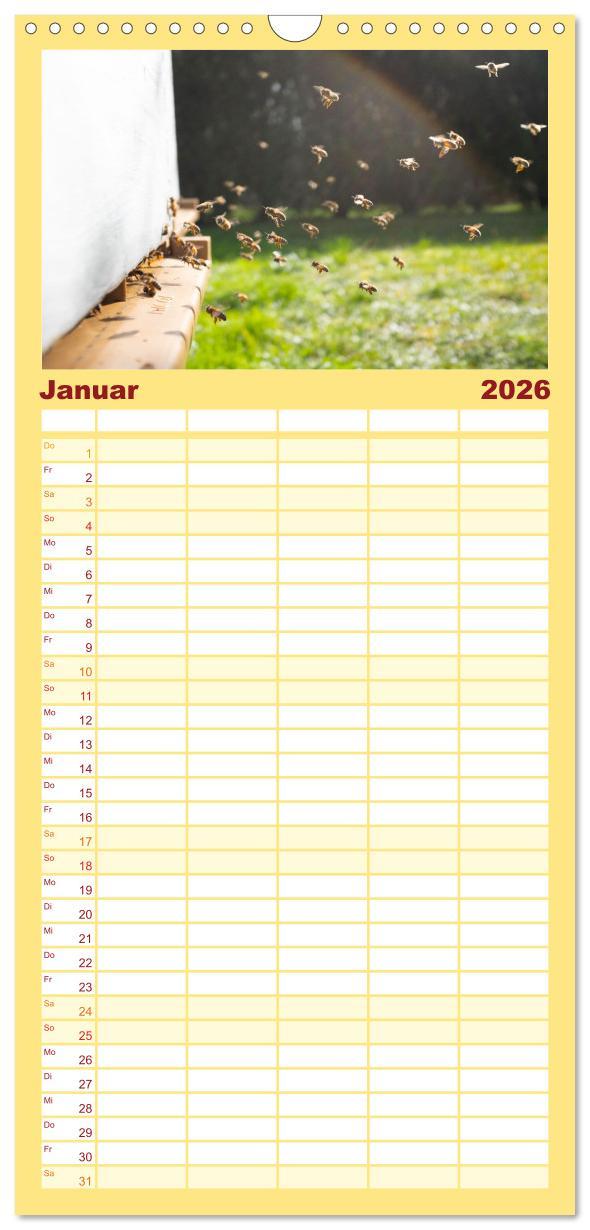 Beispielinhalt (Bild) Familienplaner 2026 - Bienen - Die fleißigen Tierchen die den Honig herstellen. mit 5 Spalten (Wandkalender, 21 x 45 cm) CALVENDO
