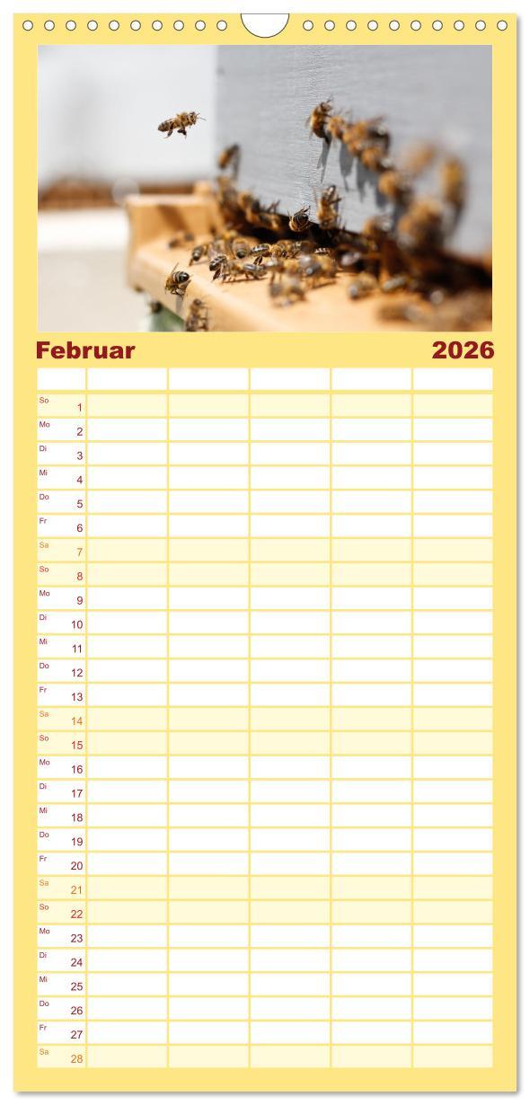Beispielinhalt (Bild) Familienplaner 2026 - Bienen - Die fleißigen Tierchen die den Honig herstellen. mit 5 Spalten (Wandkalender, 21 x 45 cm) CALVENDO