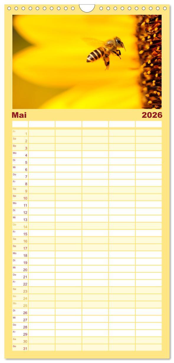 Beispielinhalt (Bild) Familienplaner 2026 - Bienen - Die fleißigen Tierchen die den Honig herstellen. mit 5 Spalten (Wandkalender, 21 x 45 cm) CALVENDO