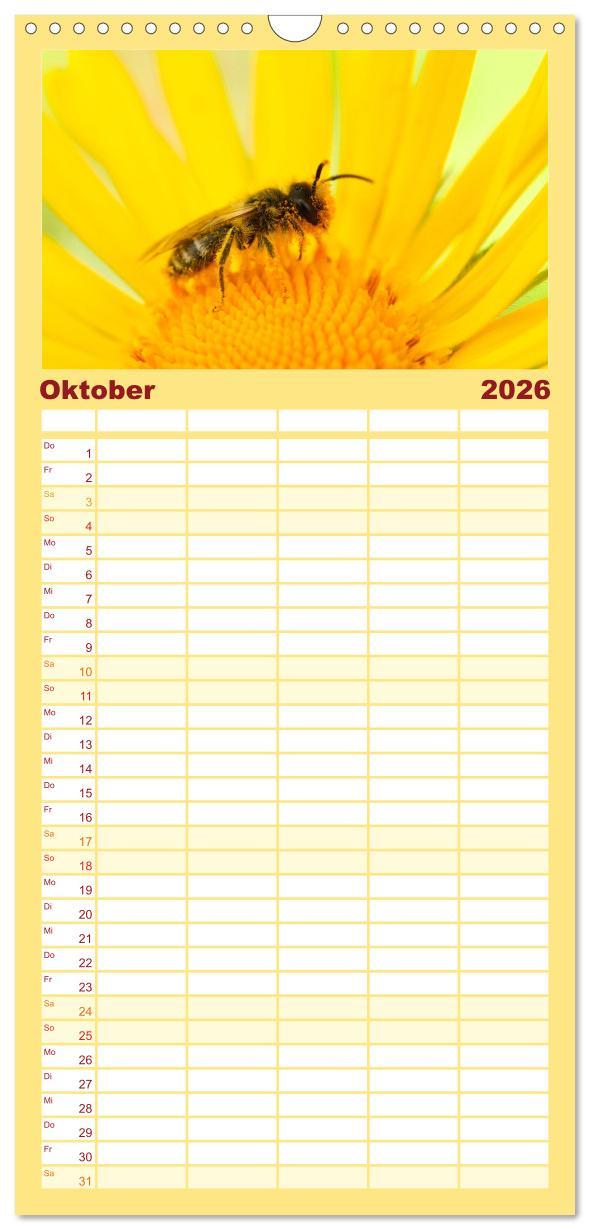 Beispielinhalt (Bild) Familienplaner 2026 - Bienen - Die fleißigen Tierchen die den Honig herstellen. mit 5 Spalten (Wandkalender, 21 x 45 cm) CALVENDO