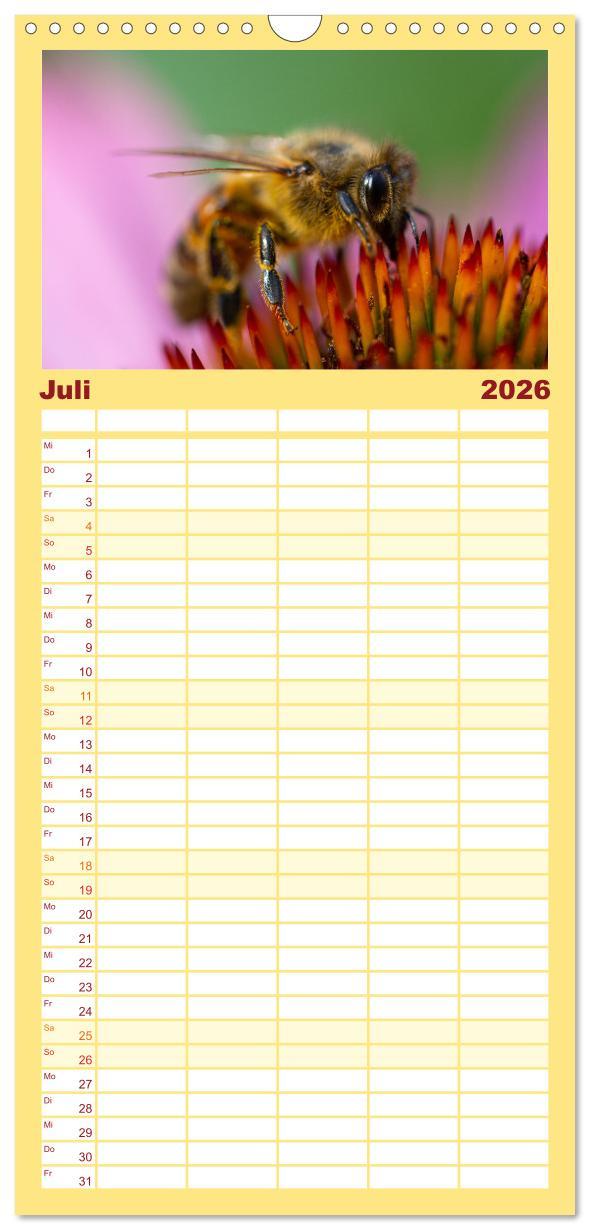 Beispielinhalt (Bild) Familienplaner 2026 - Bienen - Die fleißigen Tierchen die den Honig herstellen. mit 5 Spalten (Wandkalender, 21 x 45 cm) CALVENDO