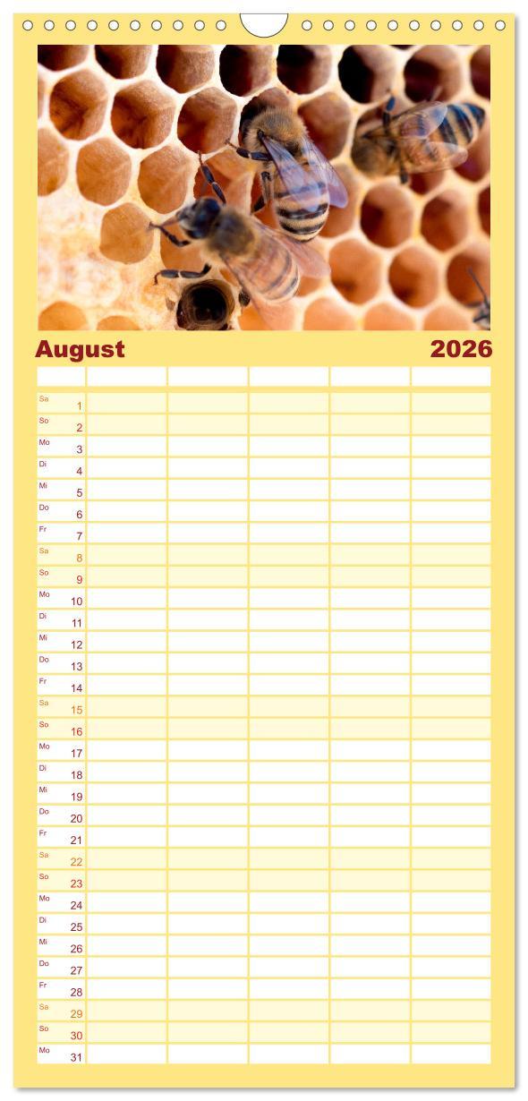 Beispielinhalt (Bild) Familienplaner 2026 - Bienen - Die fleißigen Tierchen die den Honig herstellen. mit 5 Spalten (Wandkalender, 21 x 45 cm) CALVENDO