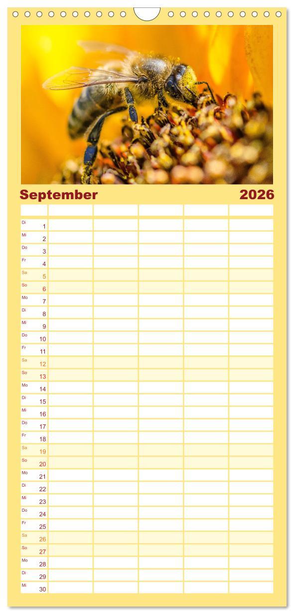 Beispielinhalt (Bild) Familienplaner 2026 - Bienen - Die fleißigen Tierchen die den Honig herstellen. mit 5 Spalten (Wandkalender, 21 x 45 cm) CALVENDO