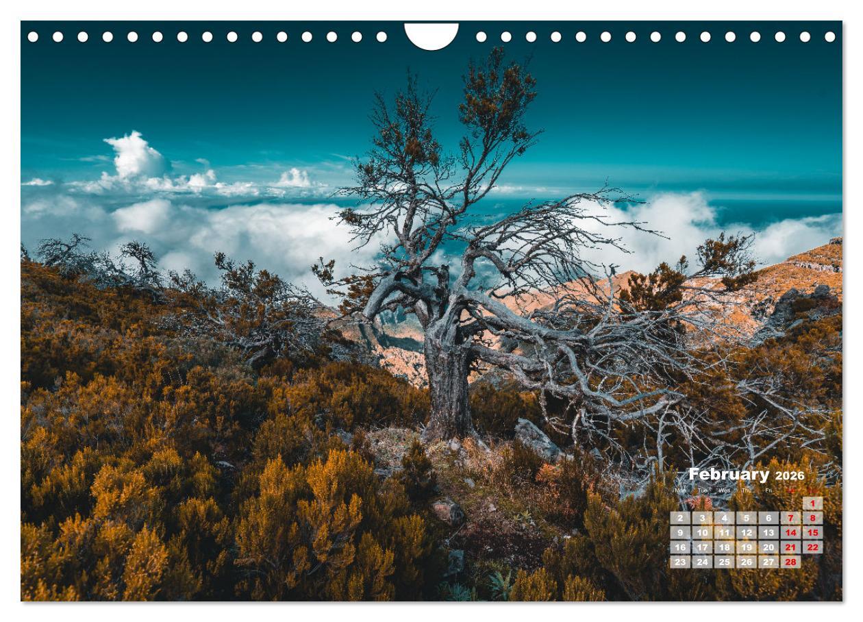 Beispielinhalt (Bild) Madeira Island - Portugal (Wall Calendar 2026 DIN A4 landscape), CALVENDO 12 Month Wall Calendar