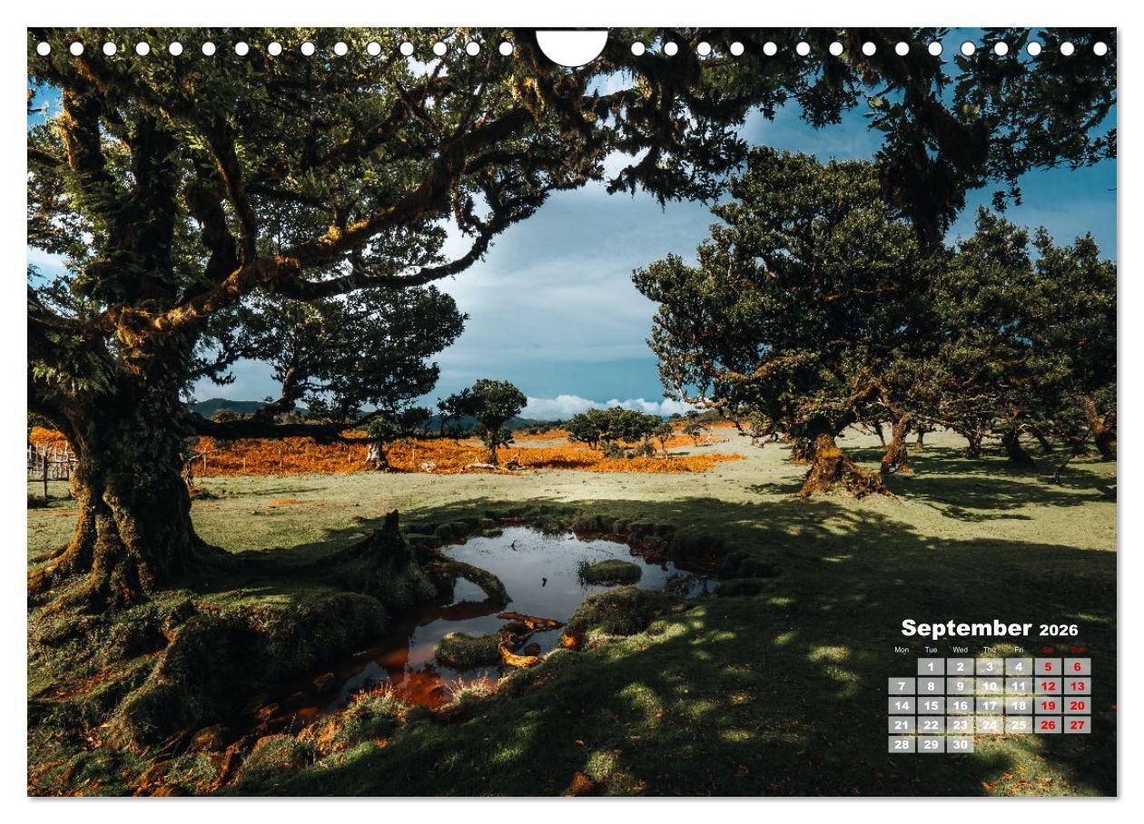 Beispielinhalt (Bild) Madeira Island - Portugal (Wall Calendar 2026 DIN A4 landscape), CALVENDO 12 Month Wall Calendar