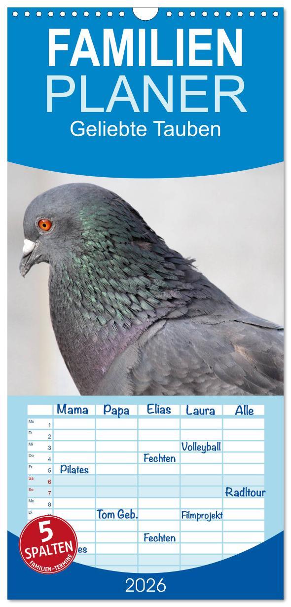 Vorderes Coverbild Familienplaner 2026 - Geliebte Tauben mit 5 Spalten (Wandkalender, 21 x 45 cm) CALVENDO