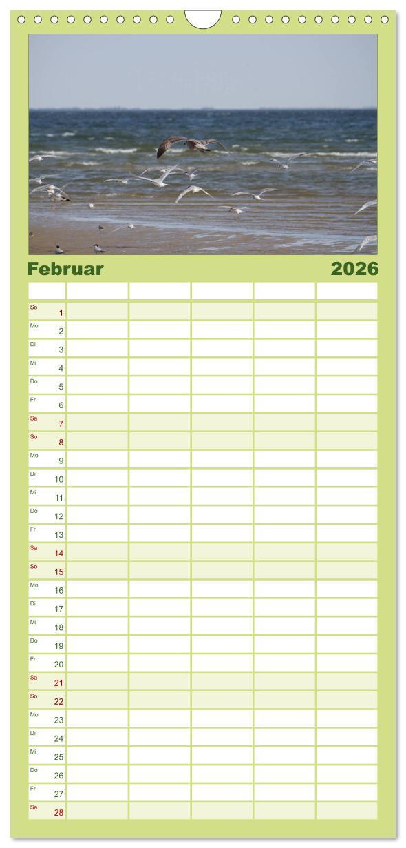 Beispielinhalt (Bild) Familienplaner 2026 - Texel, eine Perle Frieslands mit 5 Spalten (Wandkalender, 21 x 45 cm) CALVENDO