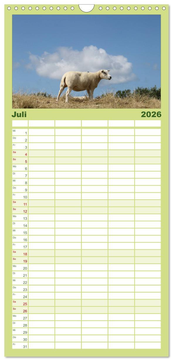 Beispielinhalt (Bild) Familienplaner 2026 - Texel, eine Perle Frieslands mit 5 Spalten (Wandkalender, 21 x 45 cm) CALVENDO