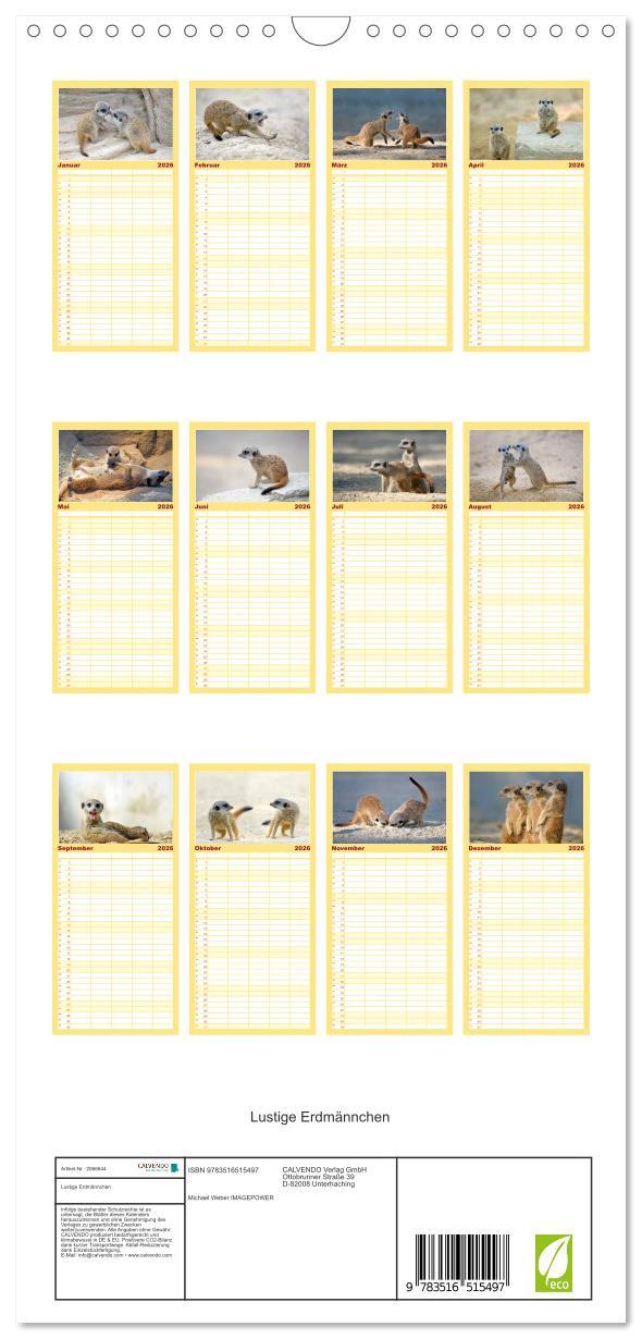 Beispielinhalt (Bild) Familienplaner 2026 - Lustige Erdmännchen mit 5 Spalten (Wandkalender, 21 x 45 cm) CALVENDO