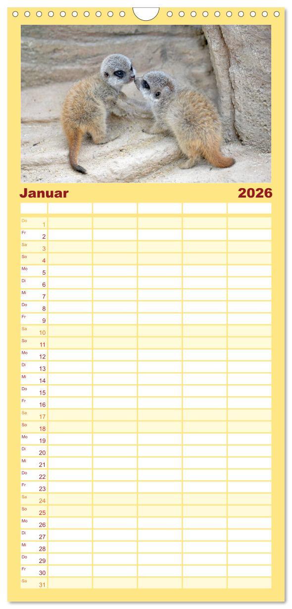Beispielinhalt (Bild) Familienplaner 2026 - Lustige Erdmännchen mit 5 Spalten (Wandkalender, 21 x 45 cm) CALVENDO