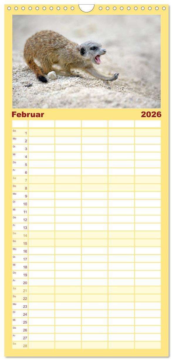 Beispielinhalt (Bild) Familienplaner 2026 - Lustige Erdmännchen mit 5 Spalten (Wandkalender, 21 x 45 cm) CALVENDO