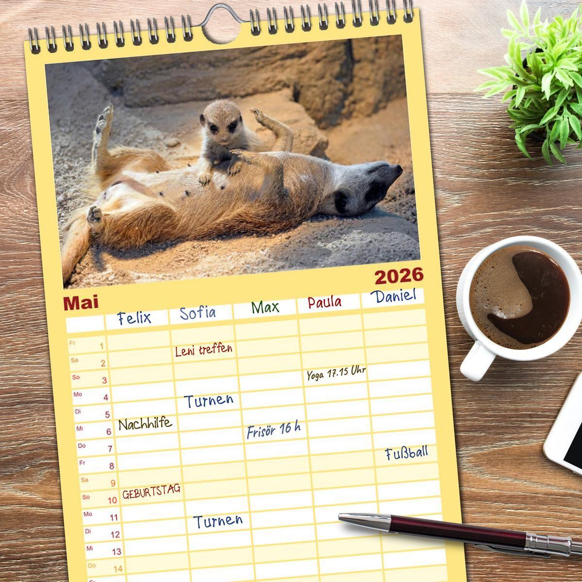 Beispielinhalt (Bild) Familienplaner 2026 - Lustige Erdmännchen mit 5 Spalten (Wandkalender, 21 x 45 cm) CALVENDO