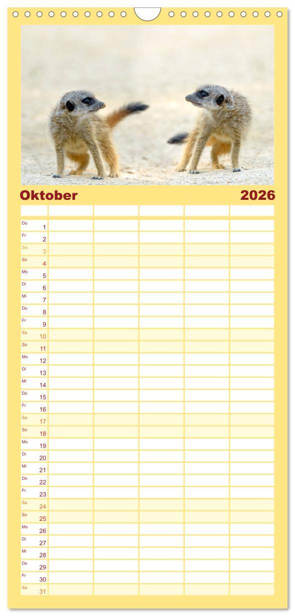 Beispielinhalt (Bild) Familienplaner 2026 - Lustige Erdmännchen mit 5 Spalten (Wandkalender, 21 x 45 cm) CALVENDO