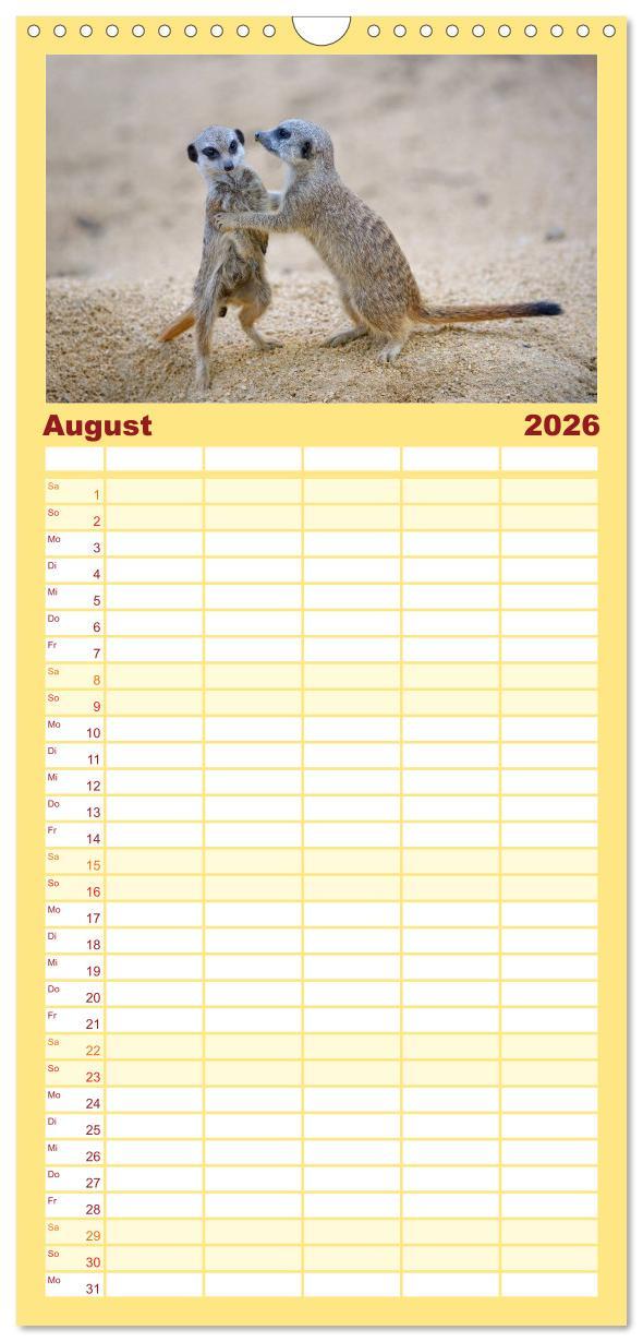 Beispielinhalt (Bild) Familienplaner 2026 - Lustige Erdmännchen mit 5 Spalten (Wandkalender, 21 x 45 cm) CALVENDO
