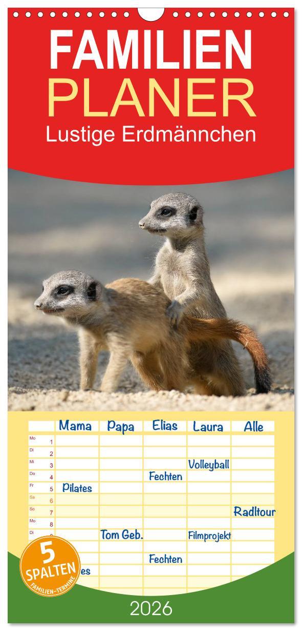 Vorderes Coverbild Familienplaner 2026 - Lustige Erdmännchen mit 5 Spalten (Wandkalender, 21 x 45 cm) CALVENDO