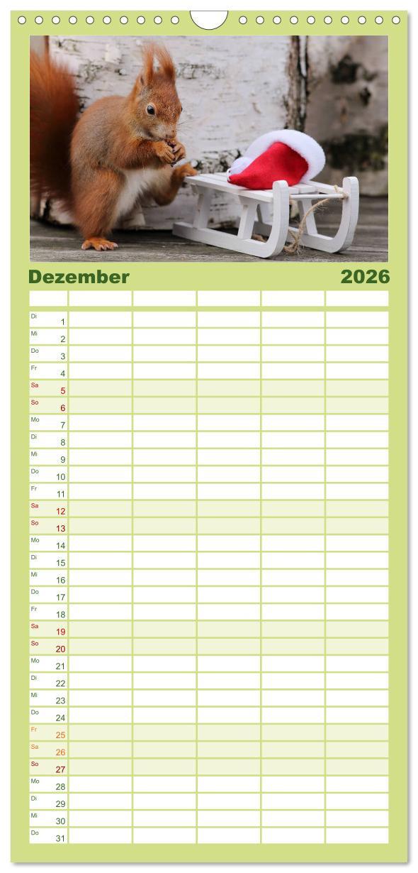 Beispielinhalt (Bild) Familienplaner 2026 - Eichhörnchen Momentaufnahmen fürs Herz mit 5 Spalten (Wandkalender, 21 x 45 cm) CALVENDO