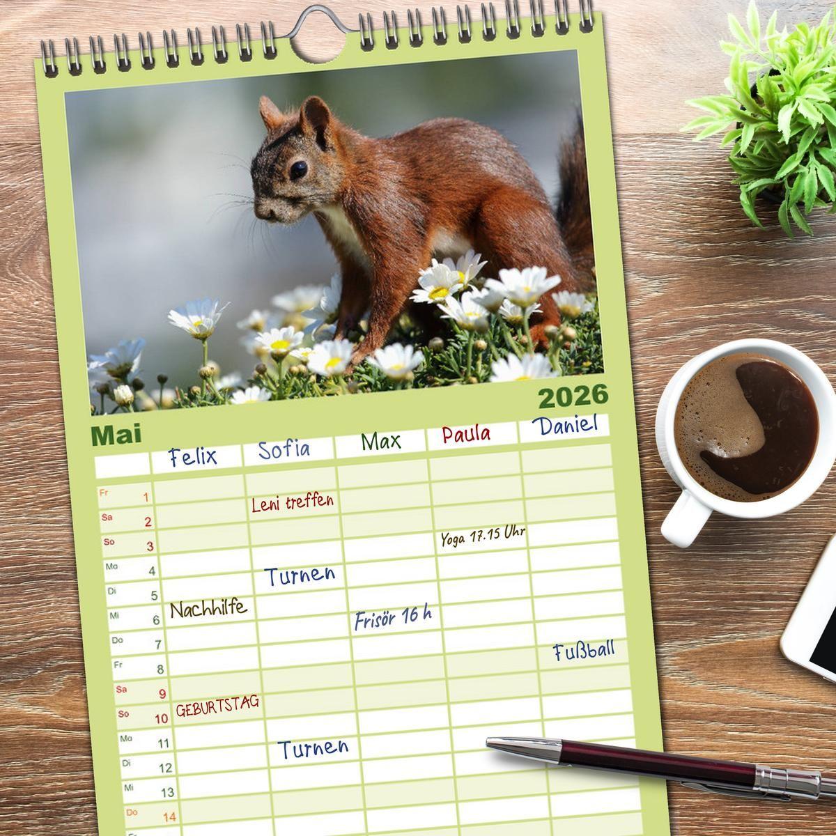 Beispielinhalt (Bild) Familienplaner 2026 - Eichhörnchen Momentaufnahmen fürs Herz mit 5 Spalten (Wandkalender, 21 x 45 cm) CALVENDO